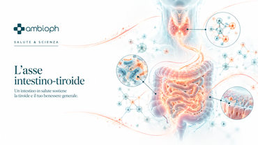 L’asse intestino-tiroide: quando il benessere parte dall’intestino