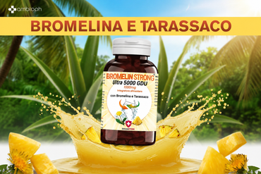 Bromelina e Tarassaco: come agiscono su drenaggio, metabolismo e benessere