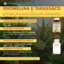 Bromelina Forte 5000 GDU | Bromelina e Tarassaco Alto Dosaggio | Integratore per il Drenaggio e il Benessere Digestivo