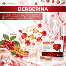 MyCardio Strong | Riso Rosso Fermentato con Berberina 1000 mg | Supporto al Metabolismo Lipidico