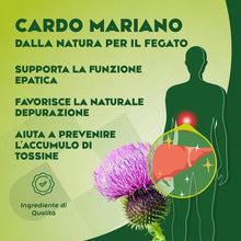 CARDO MARIANO – Detox Fegato con Estratto di Carciofo e Tarassaco. Depura fegato, con l’80% di silimarina. Cardo Mariano Fegato, 120 cpr alto dosaggio. Funzione epatica & detox fegato e intestino