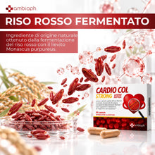 MyCardio Strong | Riso Rosso Fermentato con Berberina 1000 mg | Supporto al Metabolismo Lipidico