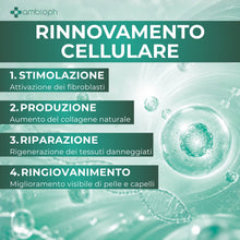 Collagene da Bere - Collagene e Acido Ialuronico, Biotina, Msm & Vitamina C. Collagen Idrolizzato, in Sinergia con ABC collagen stimulator Peptide, Collagen per ossa e articolazioni