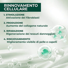Collagene da Bere - Collagene e Acido Ialuronico, Biotina, Msm & Vitamina C. Collagen Idrolizzato, in Sinergia con ABC collagen stimulator Peptide, Collagen per ossa e articolazioni 