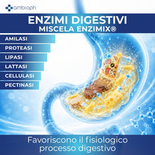 Sust-Enzyme Combo | Enzimi Digestivi, Prebiotici e Probiotici