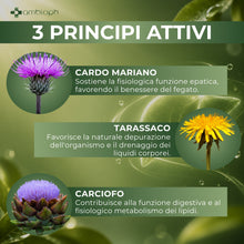 CARDO MARIANO – Detox Fegato con Estratto di Carciofo e Tarassaco. Depura fegato, con l’80% di silimarina. Cardo Mariano Fegato, 120 cpr alto dosaggio. Funzione epatica & detox fegato e intestino
