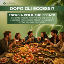 CARDO MARIANO – Detox Fegato con Estratto di Carciofo e Tarassaco. Depura fegato, con l’80% di silimarina. Cardo Mariano Fegato, 120 cpr alto dosaggio. Funzione epatica & detox fegato e intestino