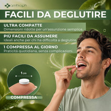 CARDO MARIANO – Detox Fegato con Estratto di Carciofo e Tarassaco. Depura fegato, con l’80% di silimarina. Cardo Mariano Fegato, 120 cpr alto dosaggio. Funzione epatica & detox fegato e intestino