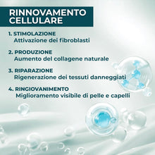 Collagene da Bere - Collagene e Acido Ialuronico, Biotina, Msm & Vitamina C. Collagen Idrolizzato, in Sinergia con ABC collagen stimulator Peptide, Collagen per ossa e articolazioni