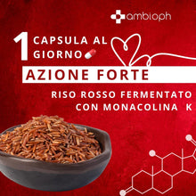Riso rosso fermentato colesterolo - Integratore Colesterolo con Riso Rosso, Berberina, Acido Folico, Spirulina e Astaxantina. Favorisce il mantenimento dei normali livelli di colesterolo